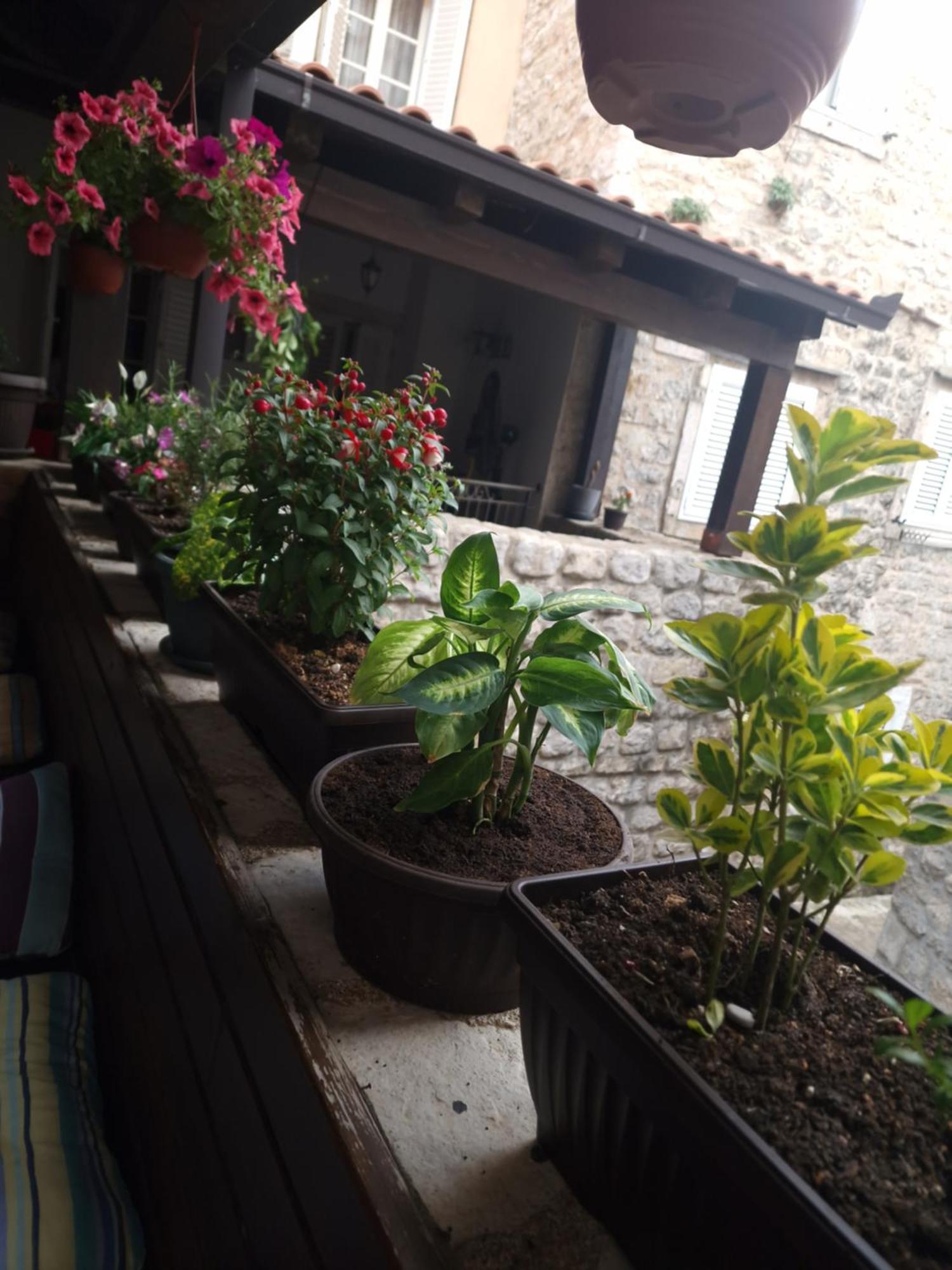 Rooms Dana Old Town Budva Zewnętrze zdjęcie