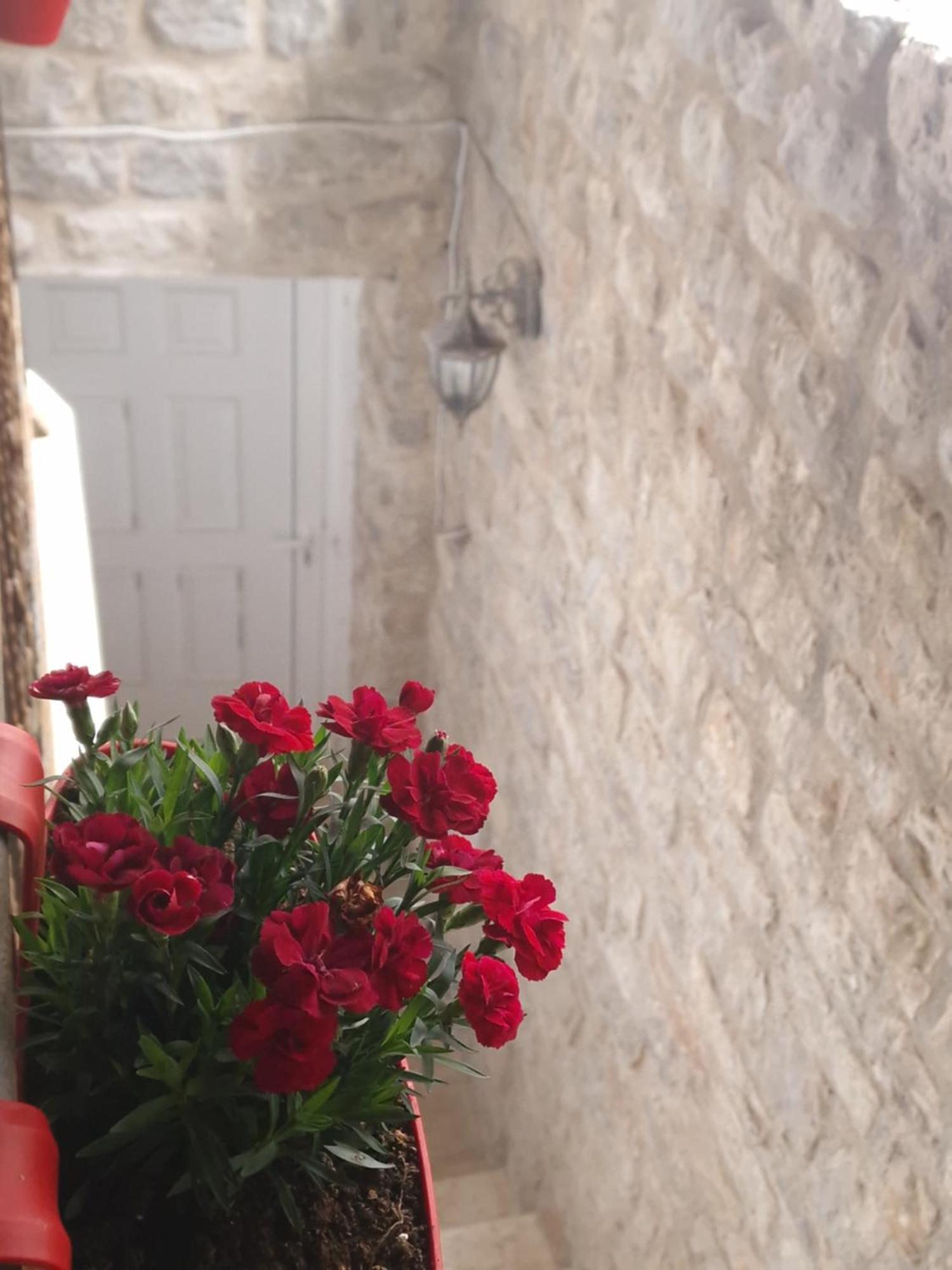 Rooms Dana Old Town Budva Zewnętrze zdjęcie